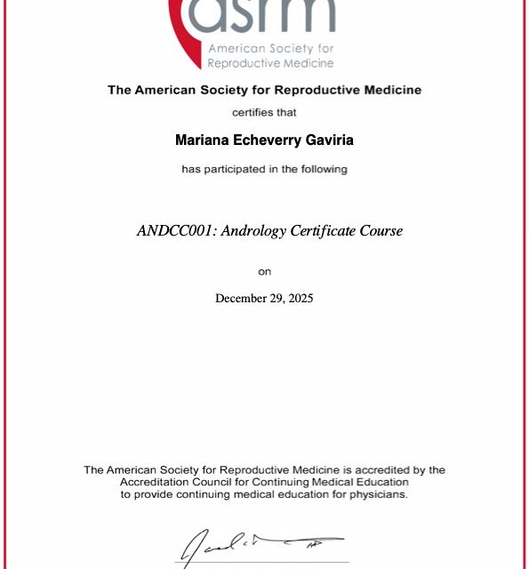 Acercar imagen: certificate 5