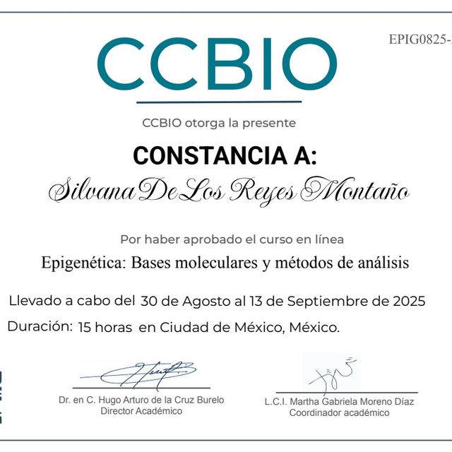 Acercar imagen: certificate 11