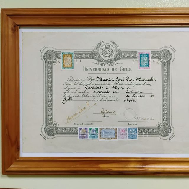 Acercar imagen: certificate 5