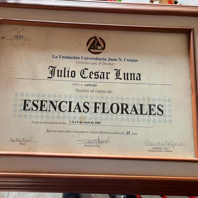 Acercar imagen: certificate 6