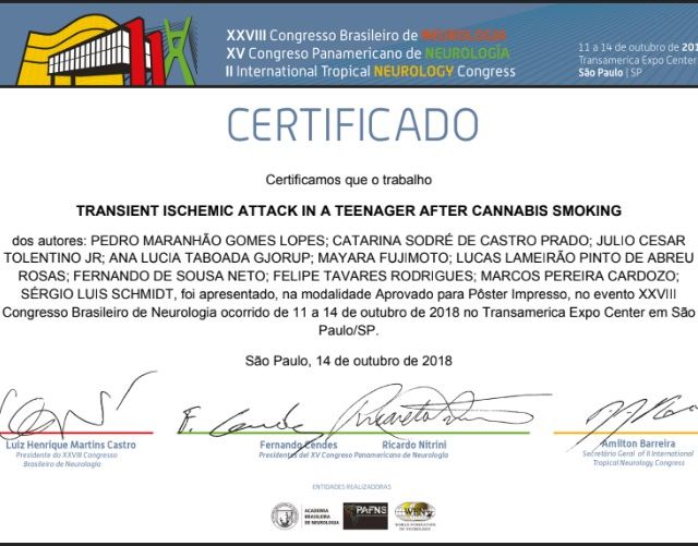 Ampliar imagem: certificate 4