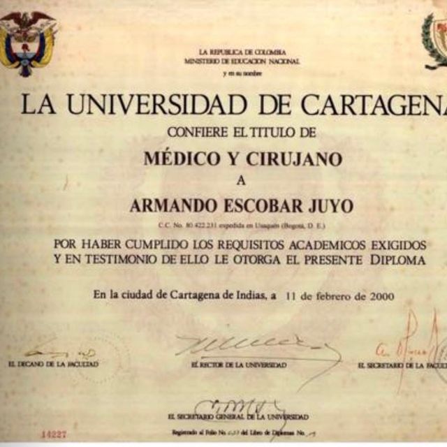 Acercar imagen: certificate 19