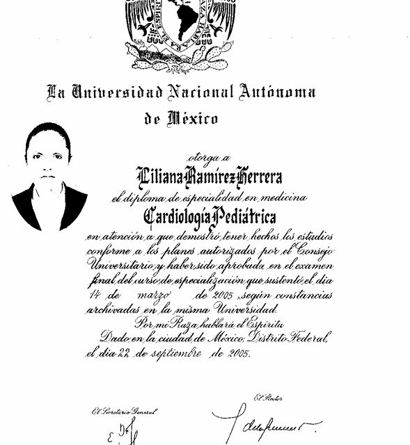 Acercar imagen: certificate 1