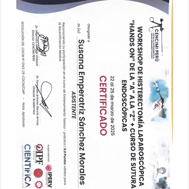 Acercar imagen: certificate 3