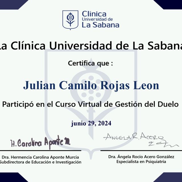 Acercar imagen: certificate 3