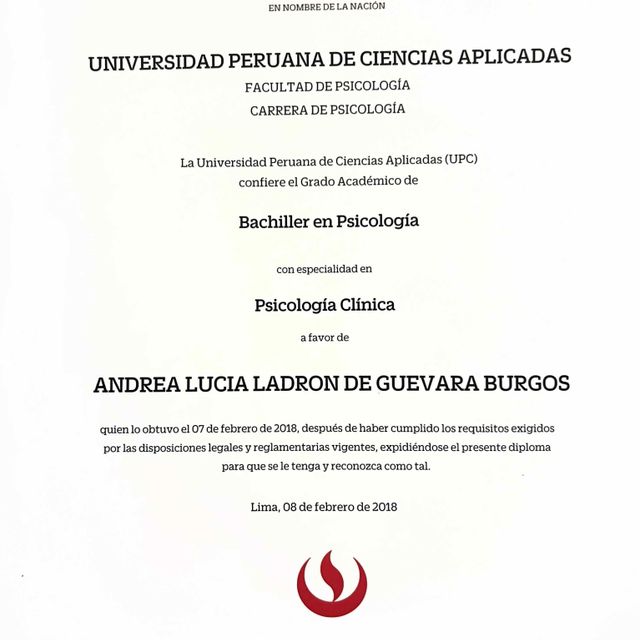 Acercar imagen: certificate 1