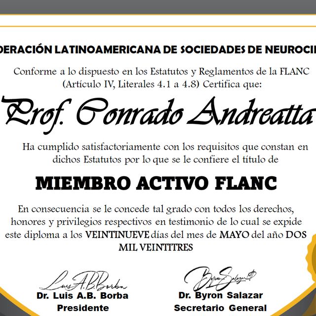 Acercar imagen: certificate 5
