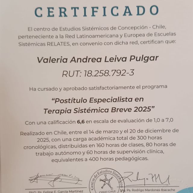 Acercar imagen: certificate 12
