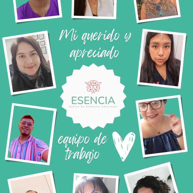 Acercar imagen: certificate 4