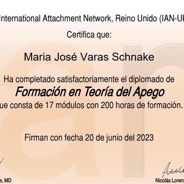 Acercar imagen: certificate 3