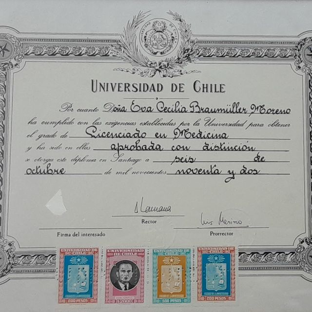 Acercar imagen: certificate 5