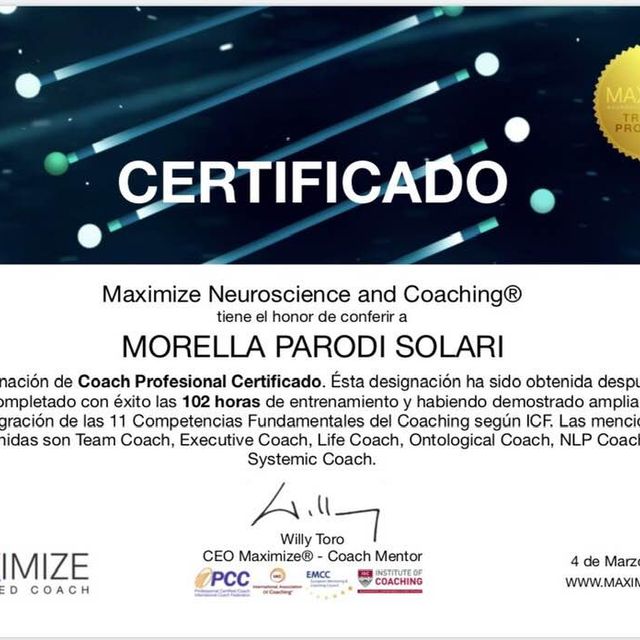Acercar imagen: certificate 6