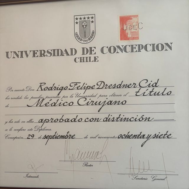 Acercar imagen: certificate 5