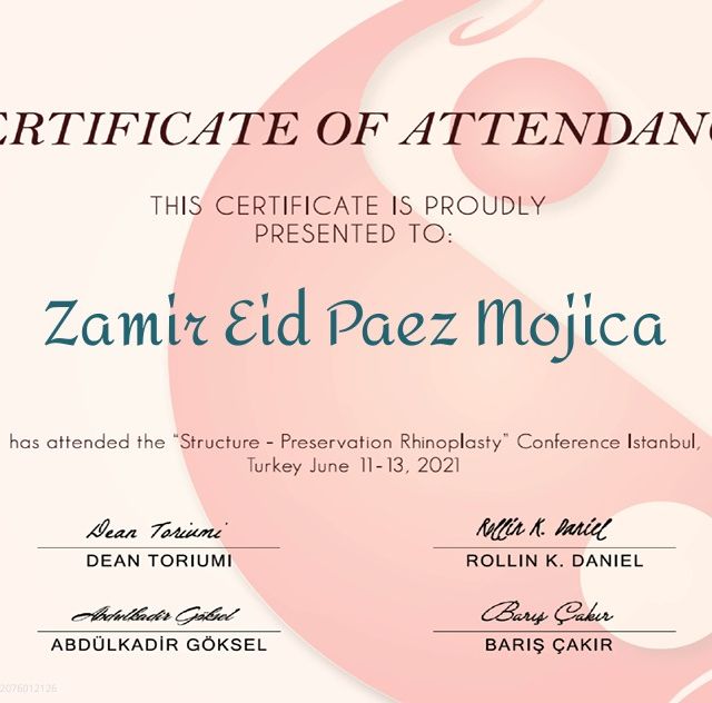 Acercar imagen: certificate 4