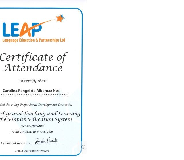 Ampliar imagem: certificate 2