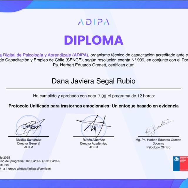 Acercar imagen: certificate 17