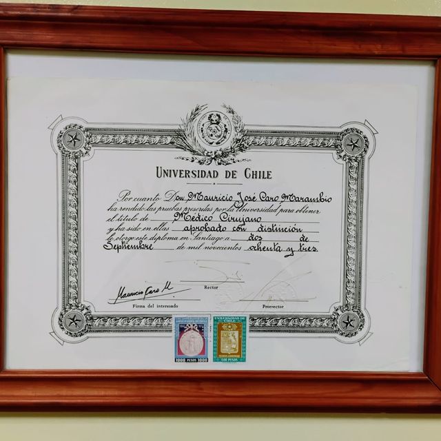 Acercar imagen: certificate 2