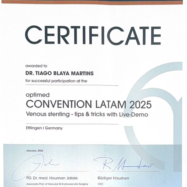 Ampliar imagem: certificate 3