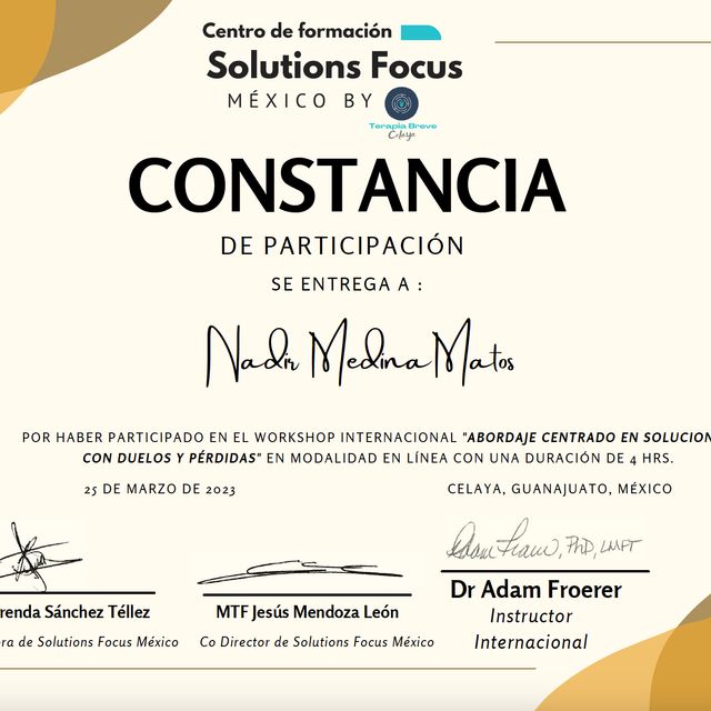 Acercar imagen: certificate 10