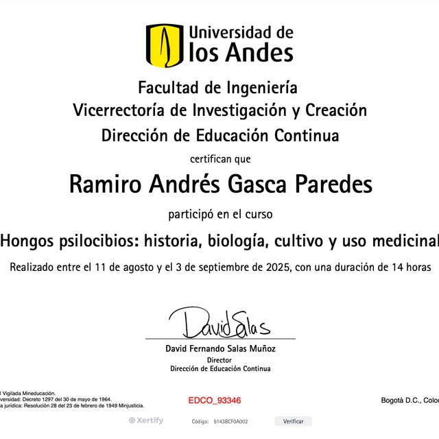 Acercar imagen: certificate 13