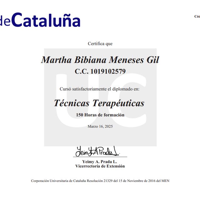 Acercar imagen: certificate 3