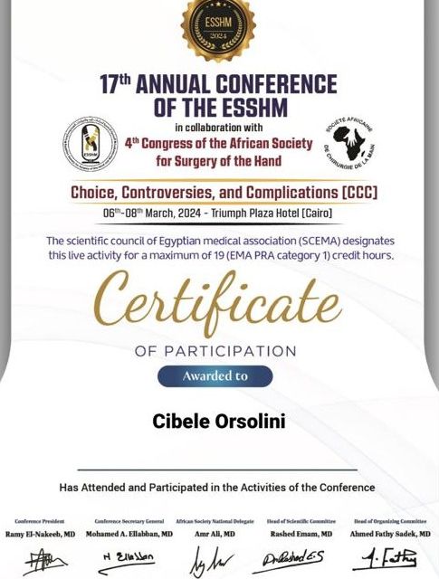 Ampliar imagem: certificate 4