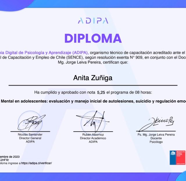 Acercar imagen: certificate 9