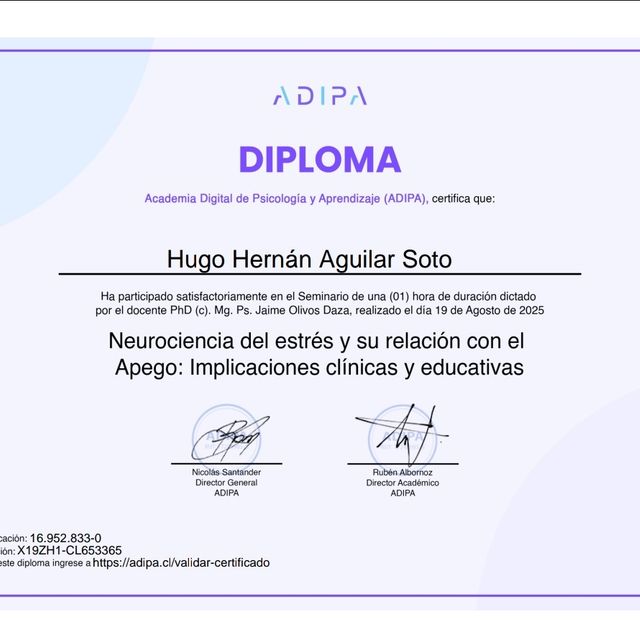 Acercar imagen: certificate 8