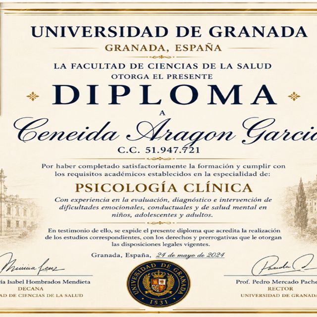 Acercar imagen: certificate 2