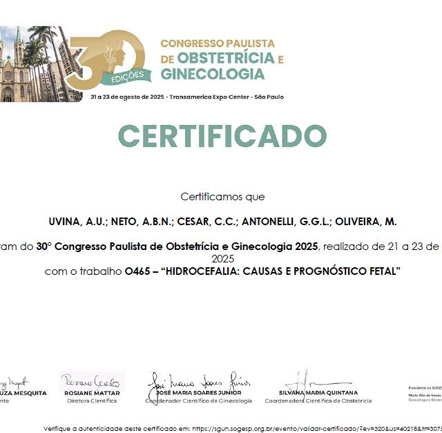 Ampliar imagem: certificate 2