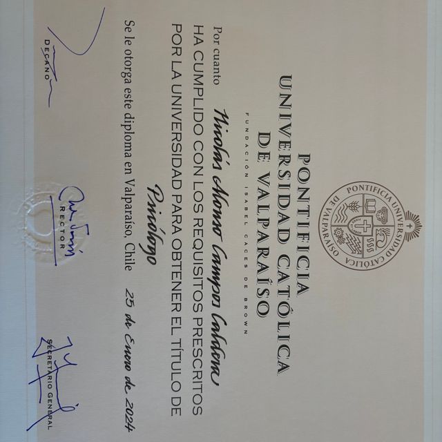 Acercar imagen: certificate 1