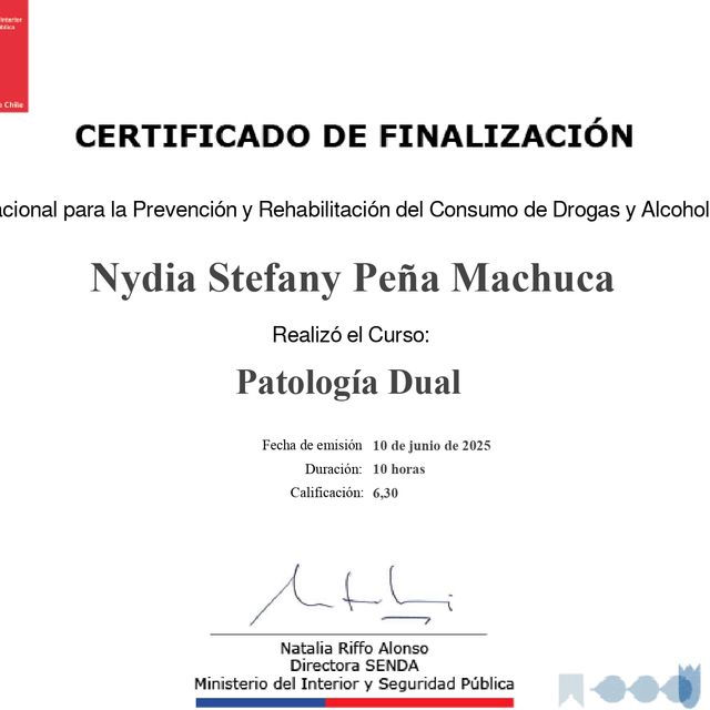 Acercar imagen: certificate 11