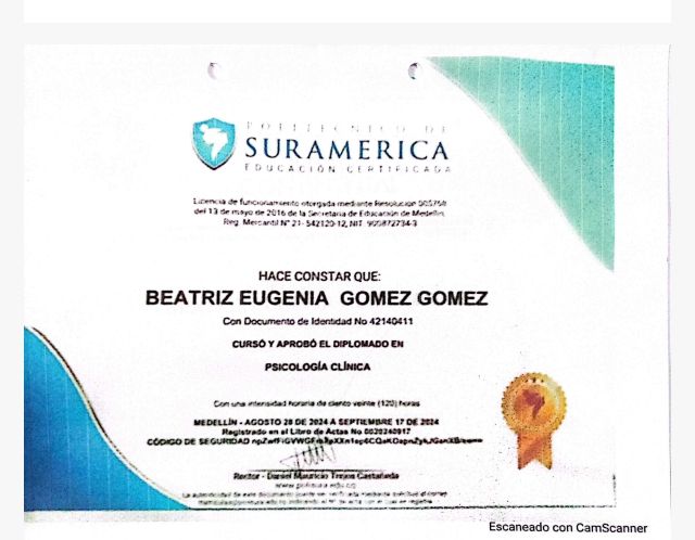 Acercar imagen: certificate 4