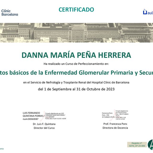 Acercar imagen: certificate 2