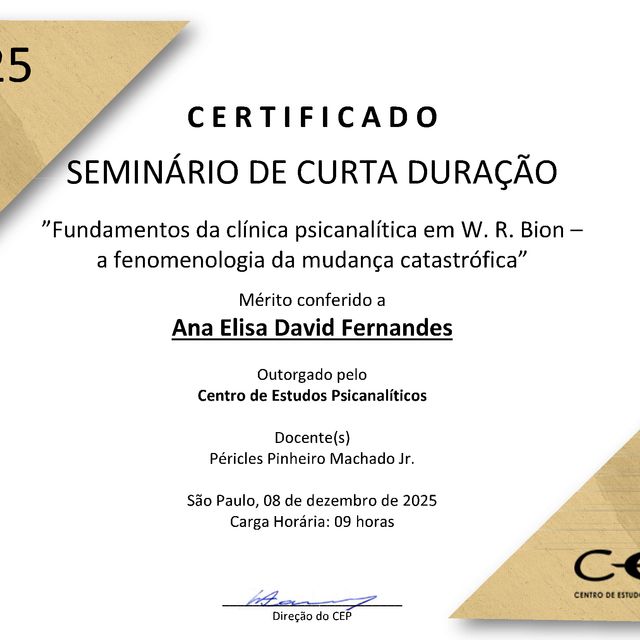 Ampliar imagem: certificate 9