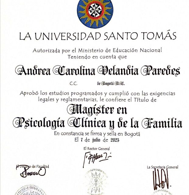Acercar imagen: certificate 6