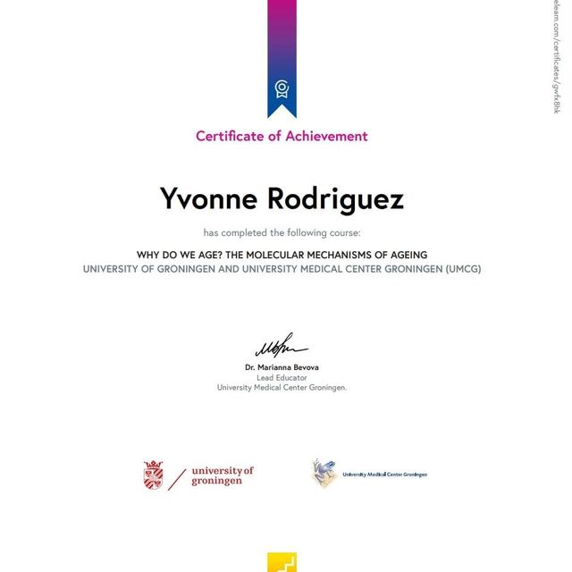 Acercar imagen: certificate 1
