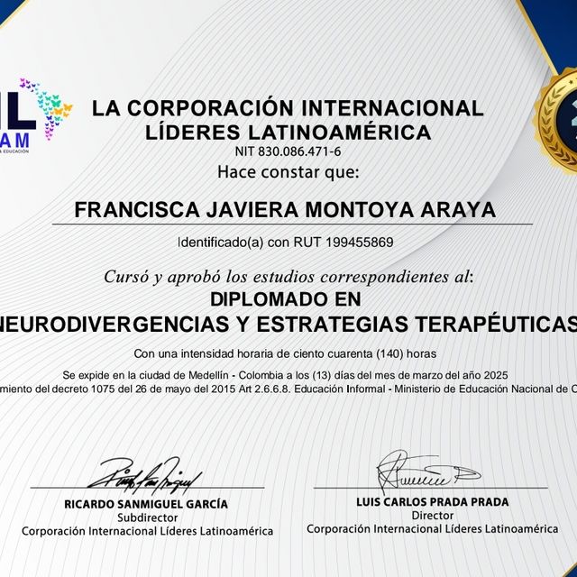 Acercar imagen: certificate 4