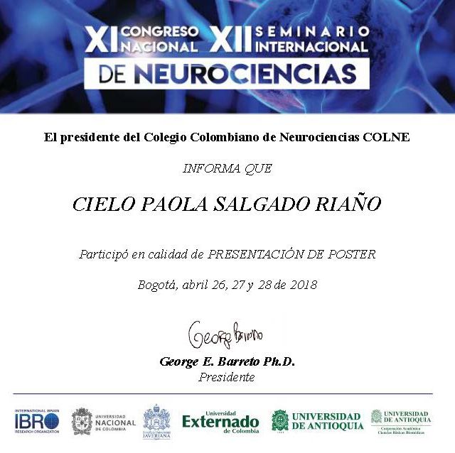 Acercar imagen: certificate 12