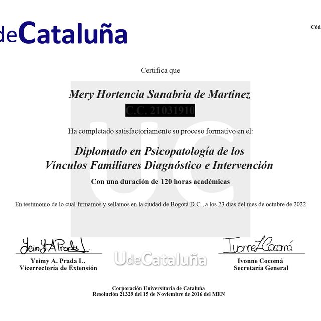Acercar imagen: certificate 3