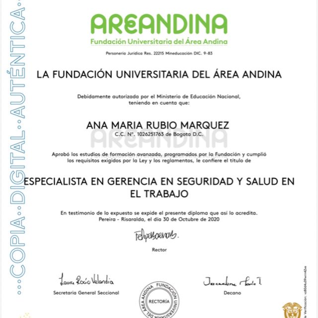 Acercar imagen: certificate 2