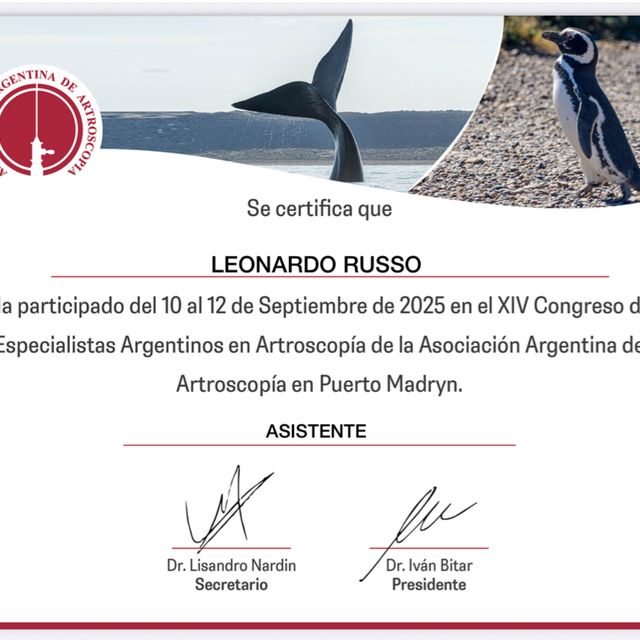 Acercar imagen: certificate 2