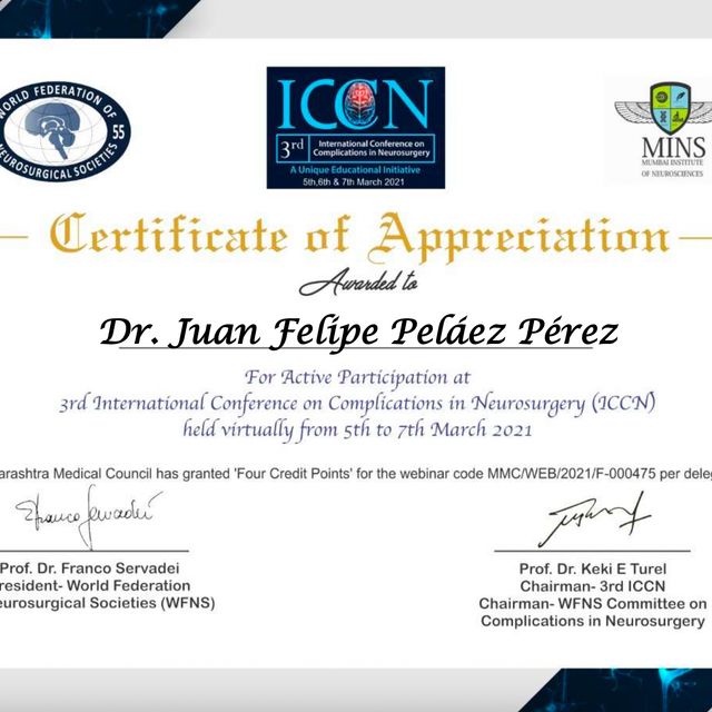 Acercar imagen: certificate 11