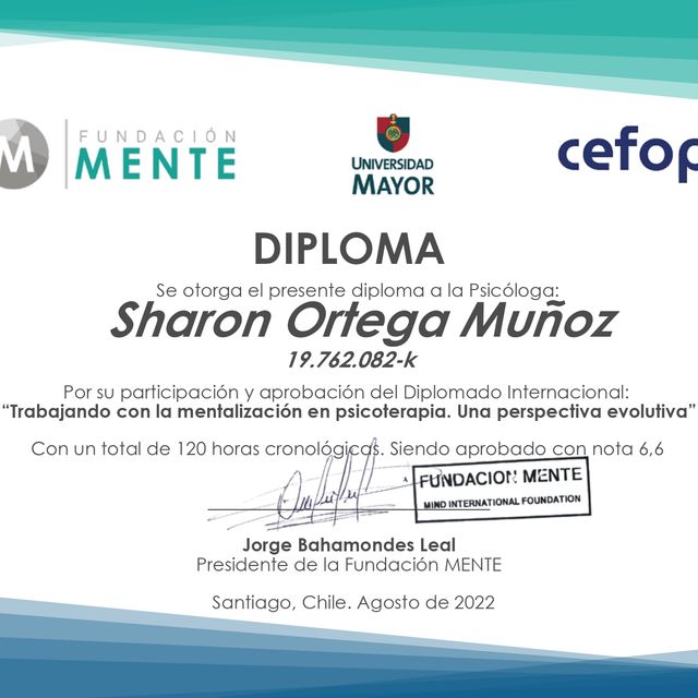 Acercar imagen: certificate 5