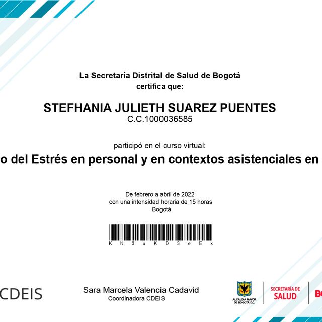Acercar imagen: certificate 3