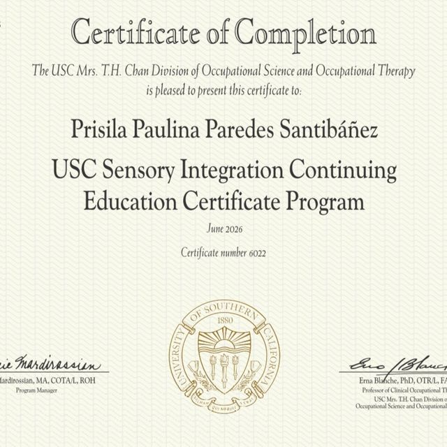 Acercar imagen: certificate 6