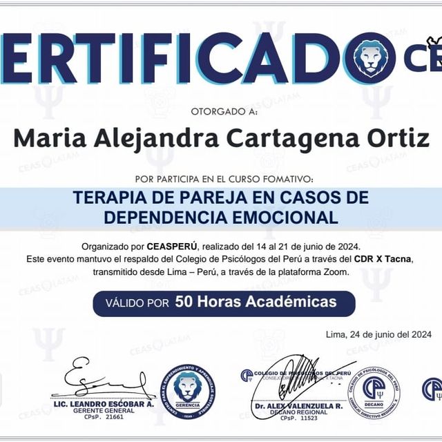 Acercar imagen: certificate 4