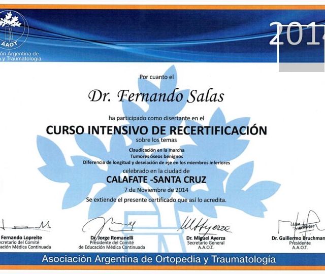 Acercar imagen: certificate 26