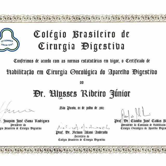 Ampliar imagem: certificate 5