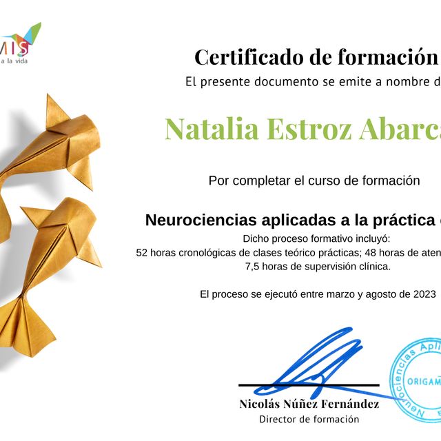 Acercar imagen: certificate 1